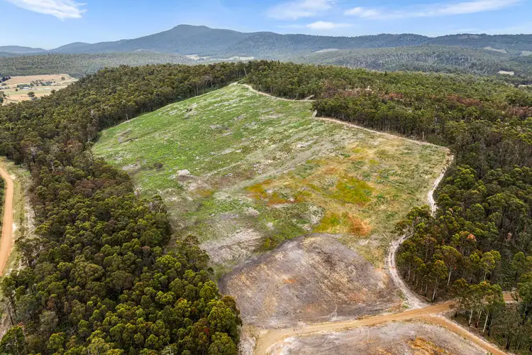Main view of Homely land listing, 315 Levendale Back Road, Levendale TAS 7120