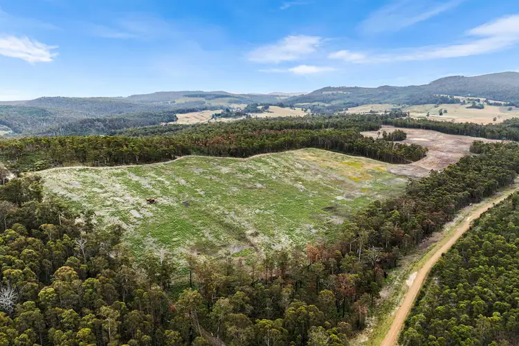 Third view of Homely land listing, 315 Levendale Back Road, Levendale TAS 7120