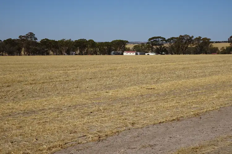 Second view of Homely rural property listing, 340 Healey Road, Wogolin WA 6370