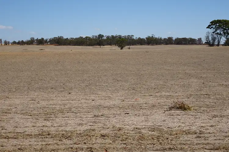 Fourth view of Homely rural property listing, 340 Healey Road, Wogolin WA 6370