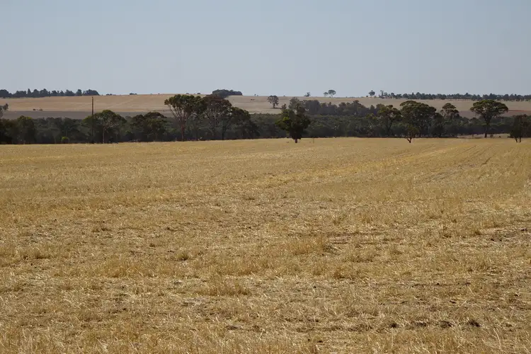 Sixth view of Homely rural property listing, 340 Healey Road, Wogolin WA 6370