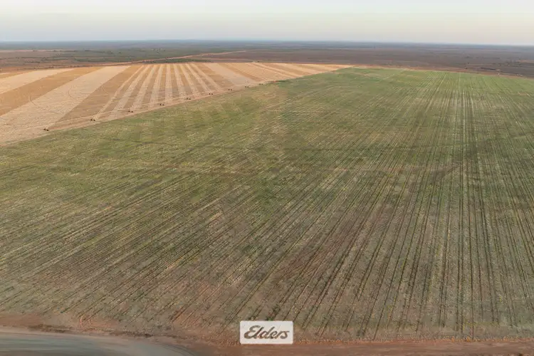 Third view of Homely rural property listing, 340 West Wilcannia Road, Menindee NSW 2879