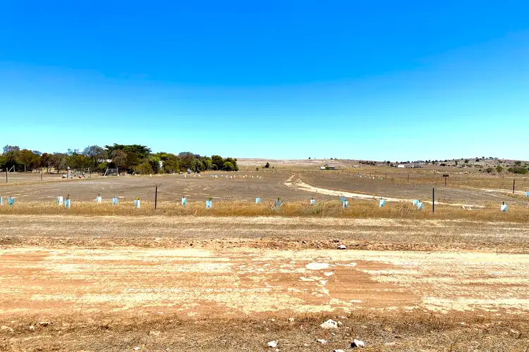 LOT 33 & 34 Second Street, Sheringa SA 5607