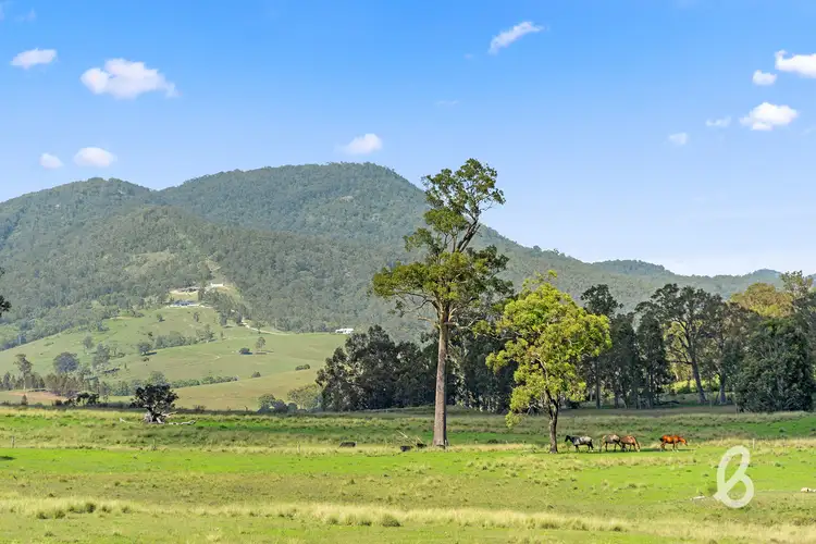 Third view of Homely rural property listing, 234 Myall Creek Road, Glendon Brook NSW 2330