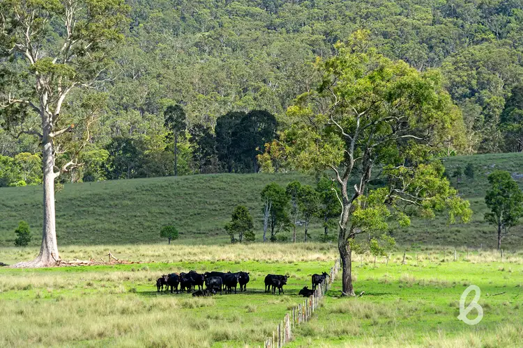 Fifth view of Homely rural property listing, 234 Myall Creek Road, Glendon Brook NSW 2330