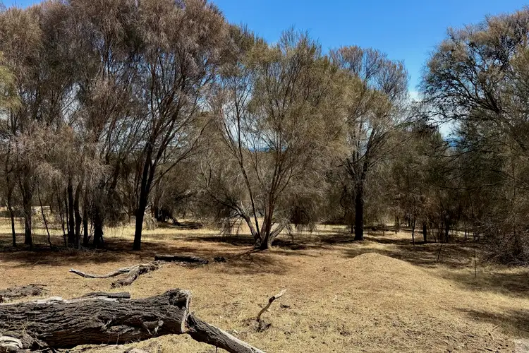 Sixth view of Homely land listing, 215 Binneys Track, Penneshaw SA 5222