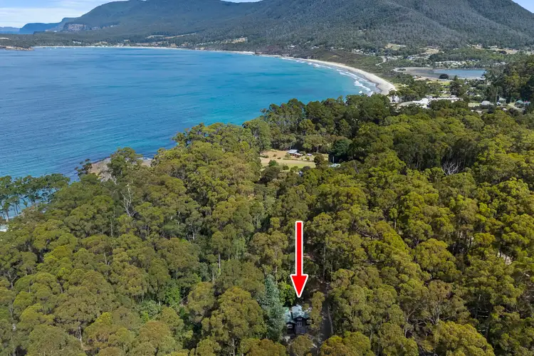 Second view of Homely house listing, 321 Pirates Bay Drive, Eaglehawk Neck TAS 7179