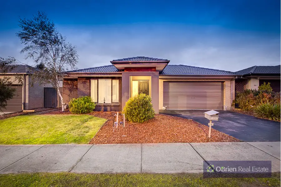 Main view of Homely house listing, 16 Merrowland Avenue, Cranbourne North VIC 3977