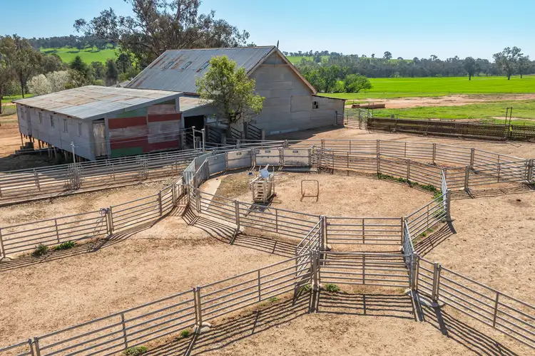 Fifth view of Homely rural property listing, 1726 Howlong Burrumbuttock Road, Burrumbuttock NSW 2642