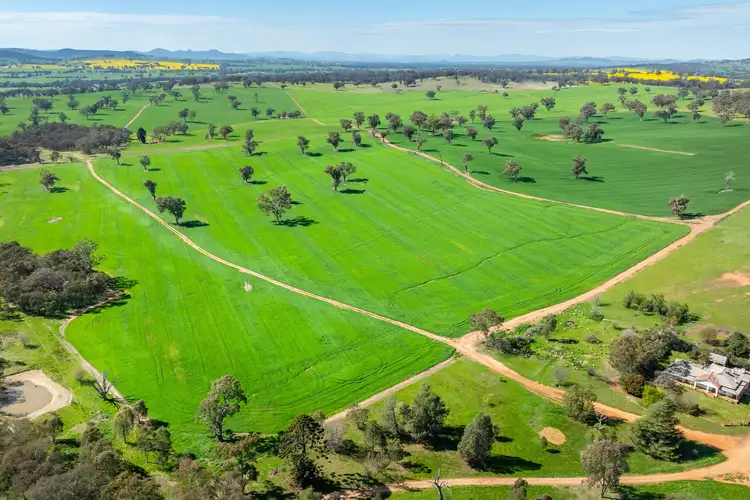 Sixth view of Homely rural property listing, 1726 Howlong Burrumbuttock Road, Burrumbuttock NSW 2642