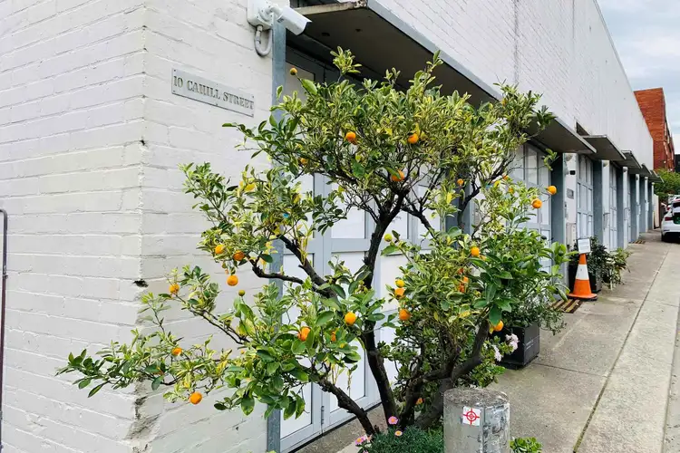 Main view of Homely apartment listing, 5/10 Cahill Street, Annandale NSW 2038