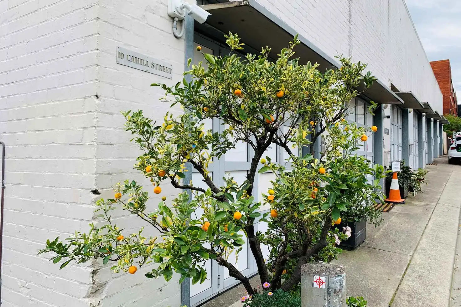 Main view of Homely apartment listing, 5/10 Cahill Street, Annandale NSW 2038