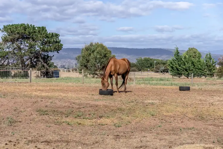 Third view of Homely land listing, 36A High Street, Campbell Town TAS 7210