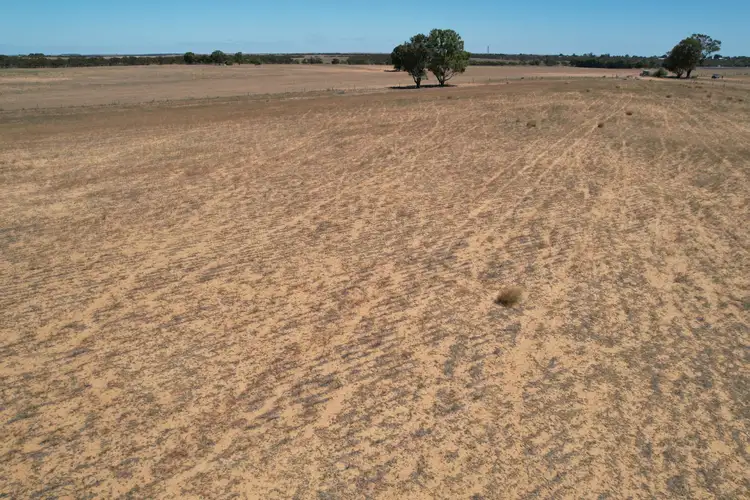 Fifth view of Homely rural property listing, Lot 1 Stones Track & Lot 17 Kulkami Road, Karoonda SA 5307