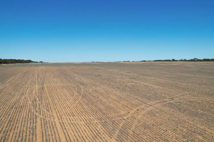 Seventh view of Homely rural property listing, Lot 1 Stones Track & Lot 17 Kulkami Road, Karoonda SA 5307