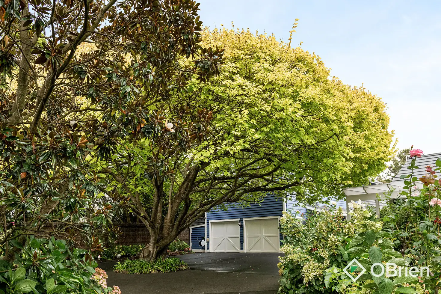 Main view of Homely house listing, 8 Denistoun Avenue, Mount Eliza VIC 3930