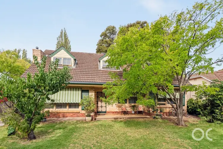 13 Whistler Avenue, Unley Park SA 5061