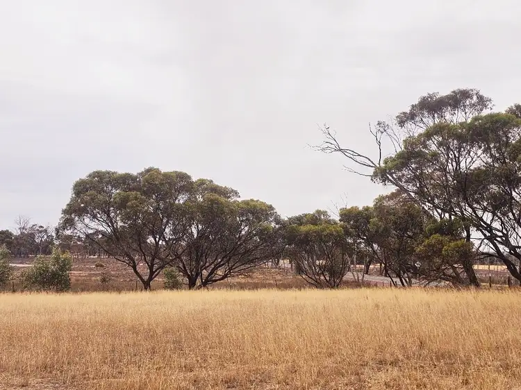 Fifth view of Homely rural property listing, 1106 Katanning-Nyabing Road, Katanning WA 6317