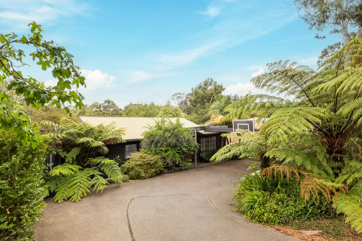 Main view of Homely house listing, 16 Douglas Crescent, Monbulk VIC 3793
