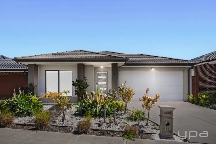 16 Cygnet Avenue