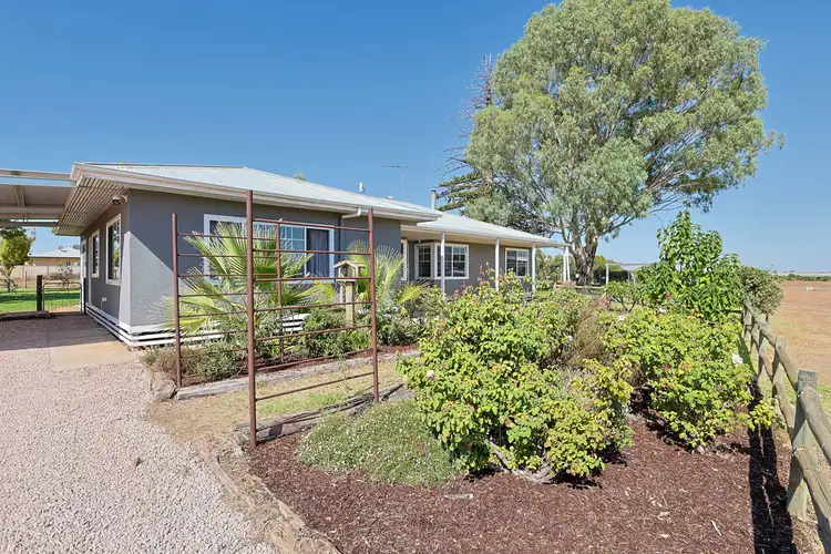 Second view of Homely house listing, 36 Quandong Avenue, Merbein VIC 3505