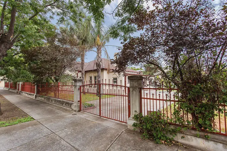 19 Tyson Street, Ashford SA 5035