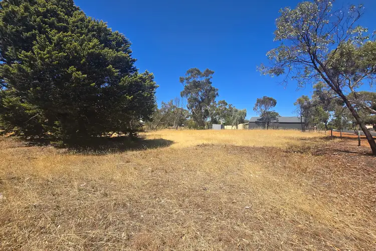 Second view of Homely land listing, 41 Upland Street, Wagin WA 6315