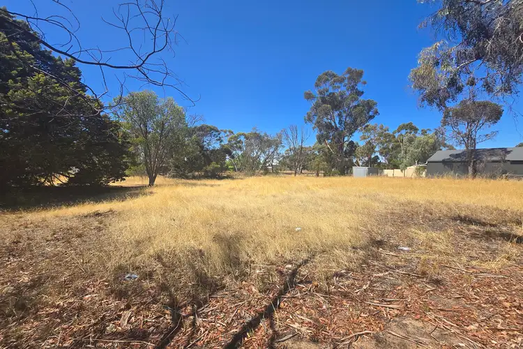 Fourth view of Homely land listing, 41 Upland Street, Wagin WA 6315
