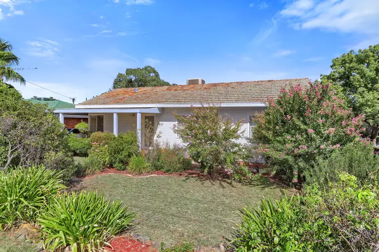 36 Hall Street, Tamworth NSW 2340