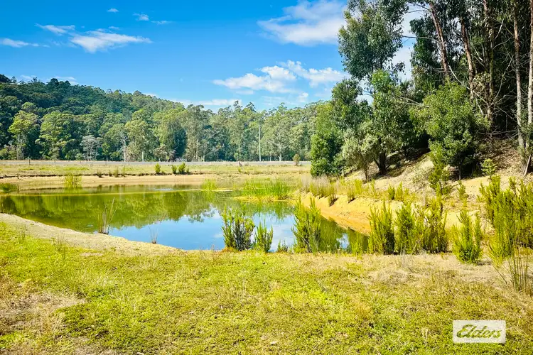 Fourth view of Homely rural property listing, 346 Wilmot Road, Forth TAS 7310