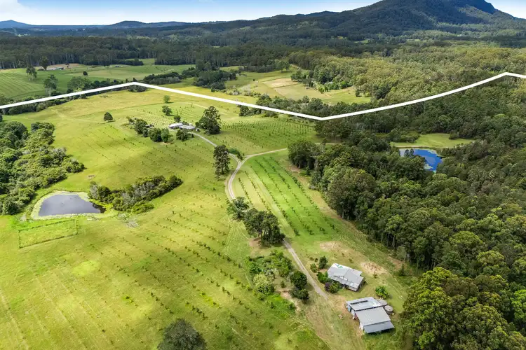 166 Tamban Road, Eungai Creek NSW 2441