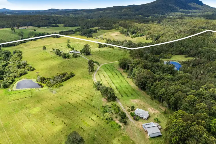 Third view of Homely house listing, 166 Tamban Road, Eungai Creek NSW 2441