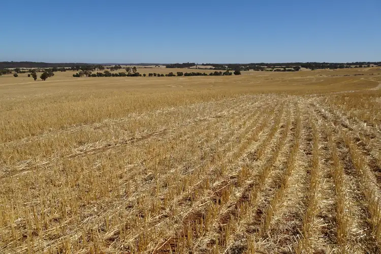 Main view of Homely rural property listing, Grout Road, Cuballing WA 6311