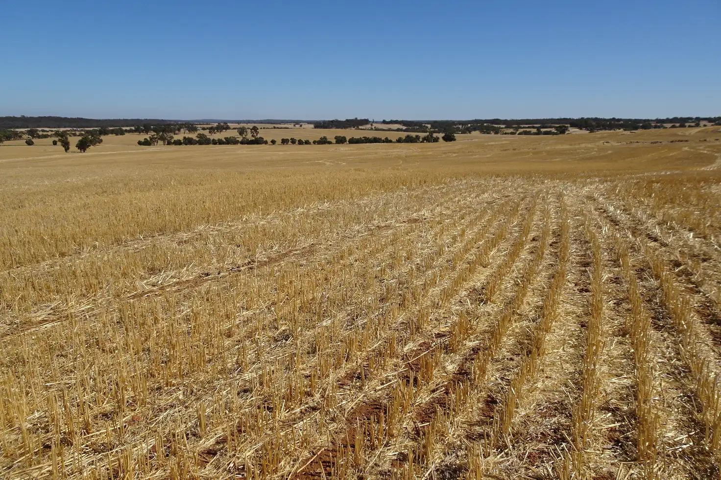 Main view of Homely rural property listing, Grout Road, Cuballing WA 6311