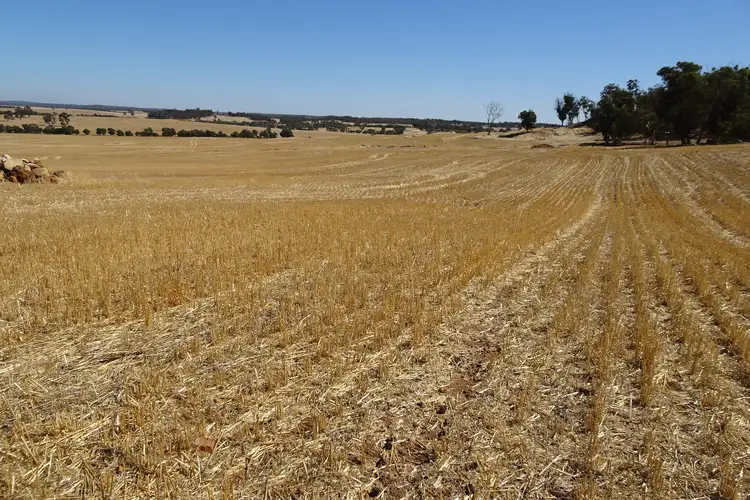 Second view of Homely rural property listing, Grout Road, Cuballing WA 6311