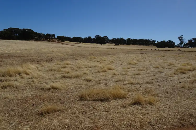 Fourth view of Homely rural property listing, Grout Road, Cuballing WA 6311