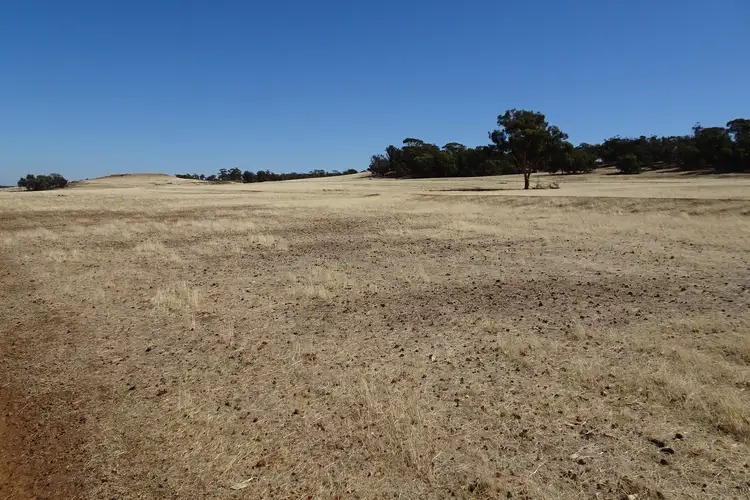 Fifth view of Homely rural property listing, Grout Road, Cuballing WA 6311