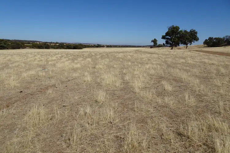 Sixth view of Homely rural property listing, Grout Road, Cuballing WA 6311