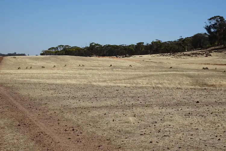 Seventh view of Homely rural property listing, Grout Road, Cuballing WA 6311