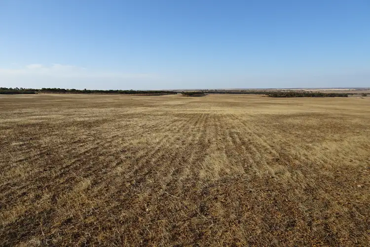 Main view of Homely rural property listing, 724 Haese Road, Walyurin WA 6363