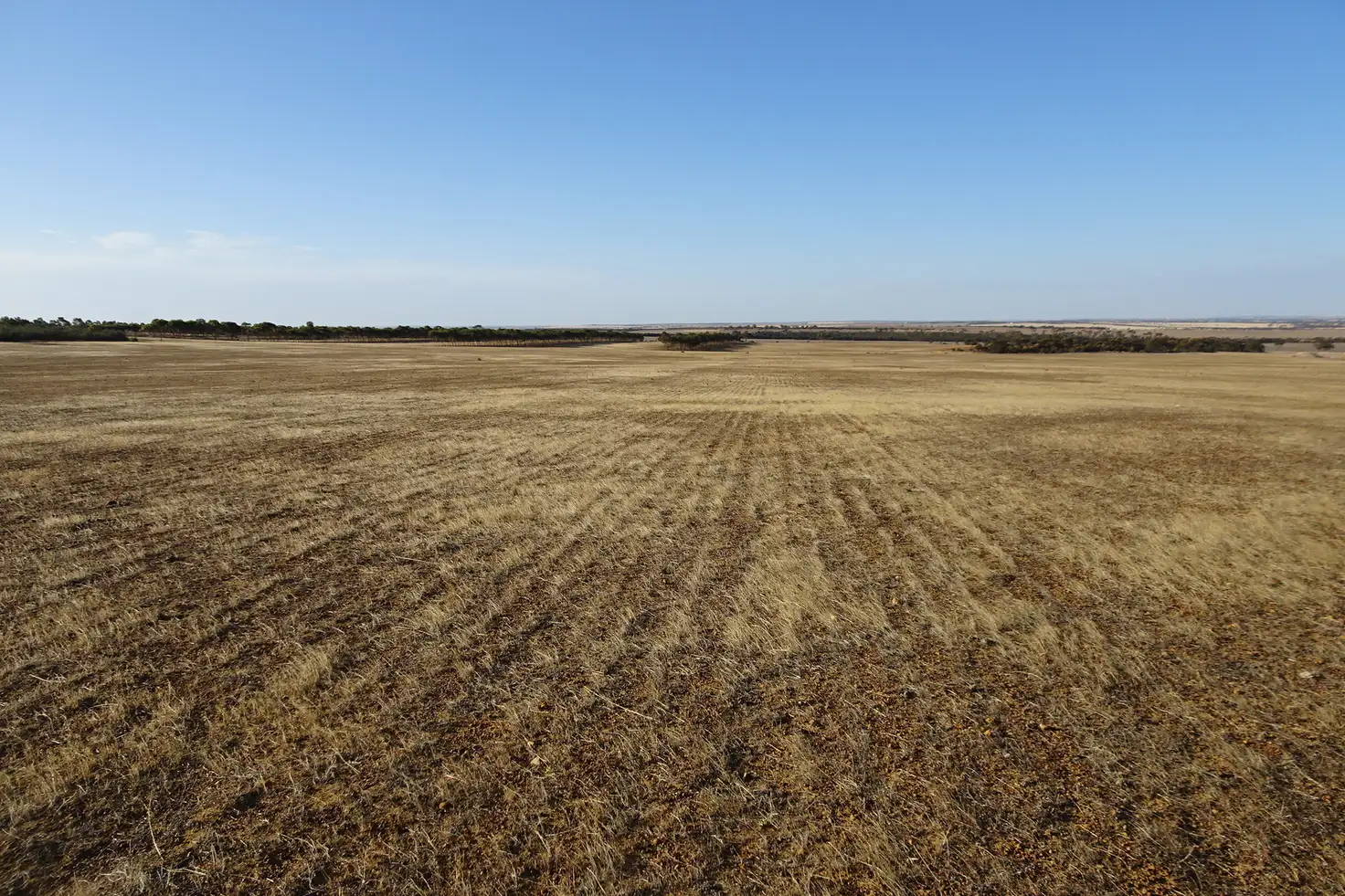 Main view of Homely rural property listing, 724 Haese Road, Walyurin WA 6363