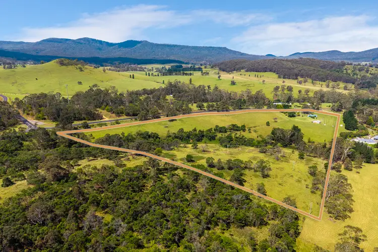Main view of Homely house listing, 2385 Mount Darragh Road, Wyndham NSW 2550