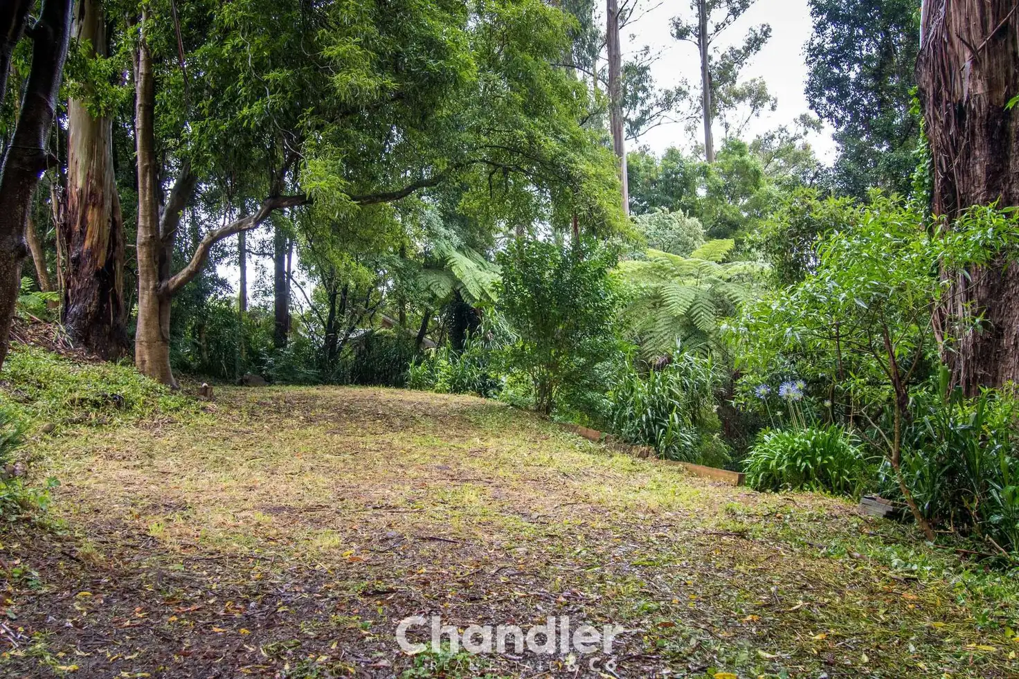 Main view of Homely land listing, 85 Kallista - Emerald Road, The Patch VIC 3792