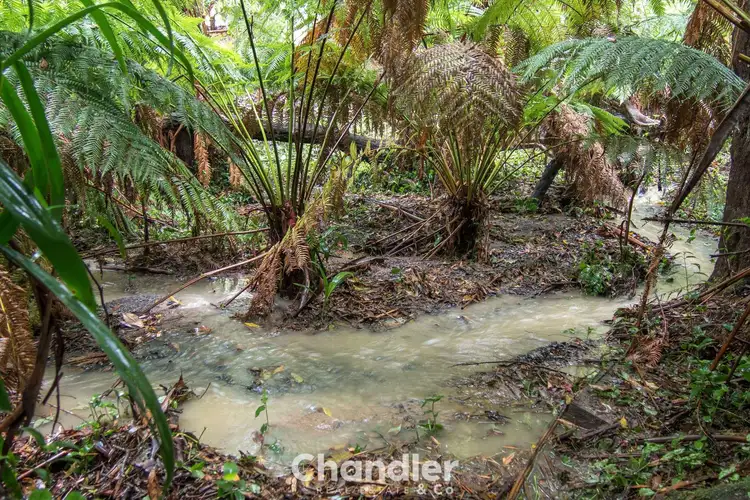 Fourth view of Homely land listing, 85 Kallista - Emerald Road, The Patch VIC 3792