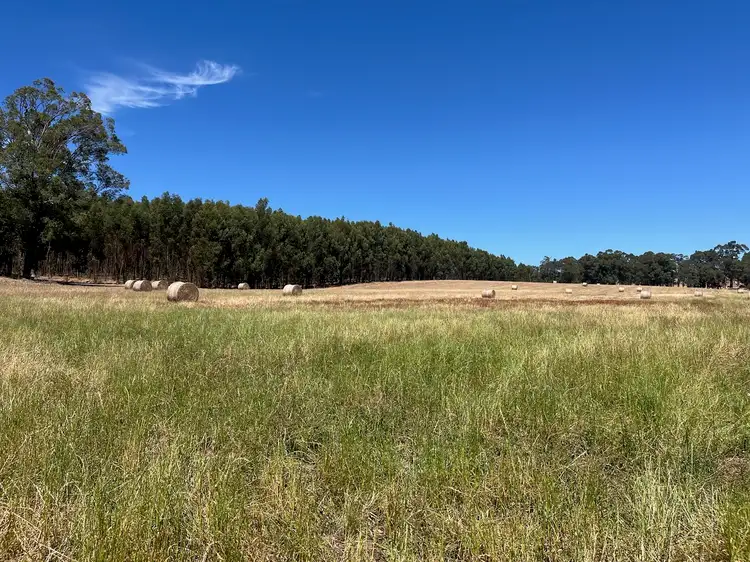 Third view of Homely rural property listing, 460 Dixvale Road, Manjimup WA 6258