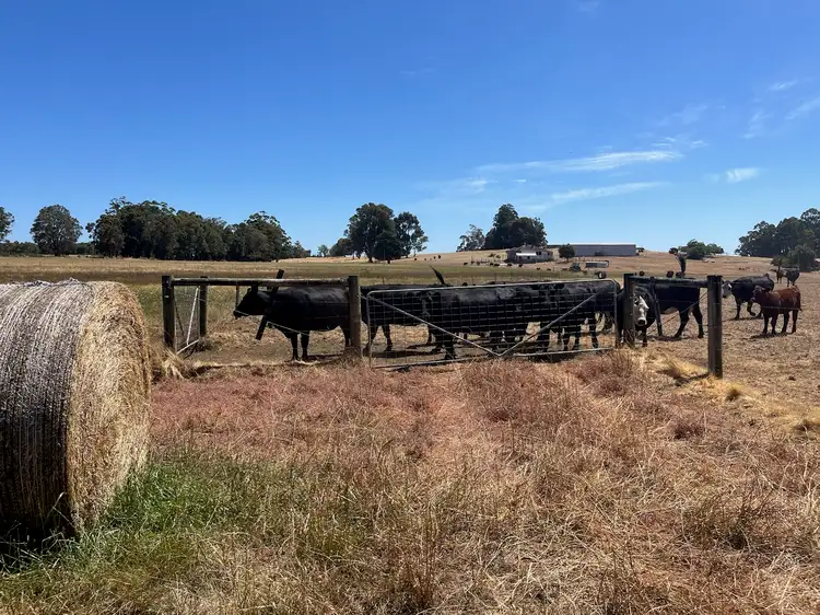 Fifth view of Homely rural property listing, 460 Dixvale Road, Manjimup WA 6258