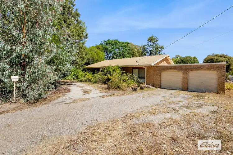 Main view of Homely house listing, 41 Read Street, Howlong NSW 2643