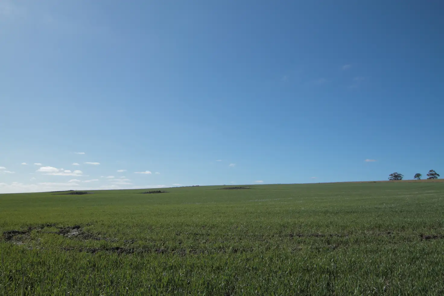 Main view of Homely land listing, 28 Regans Lane, Glenlyon VIC 3461