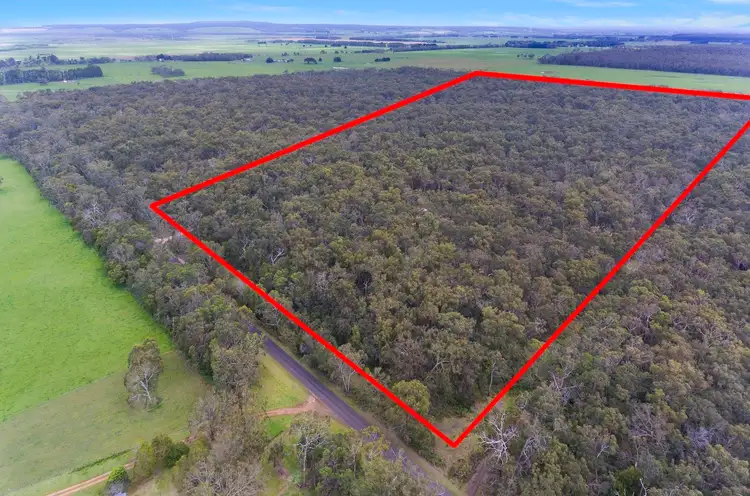 Main view of Homely rural property listing, 1800 Condah-Ettrick Road, Homerton VIC 3304
