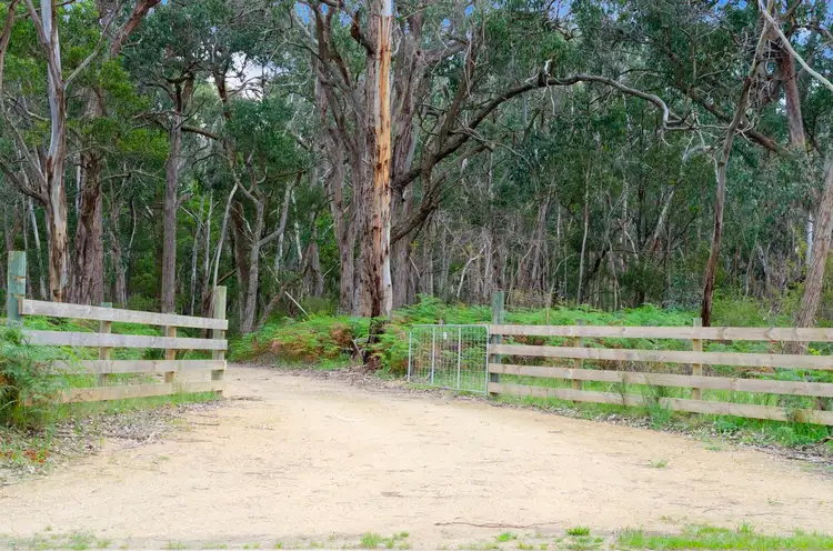 Second view of Homely rural property listing, 1800 Condah-Ettrick Road, Homerton VIC 3304